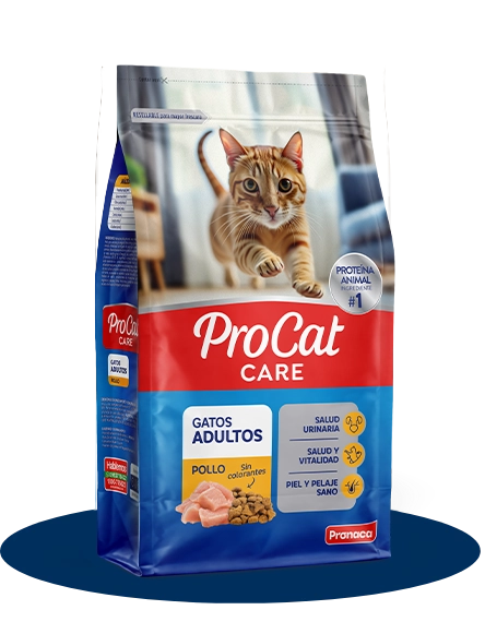 ProCatCare Alimento Seco 1